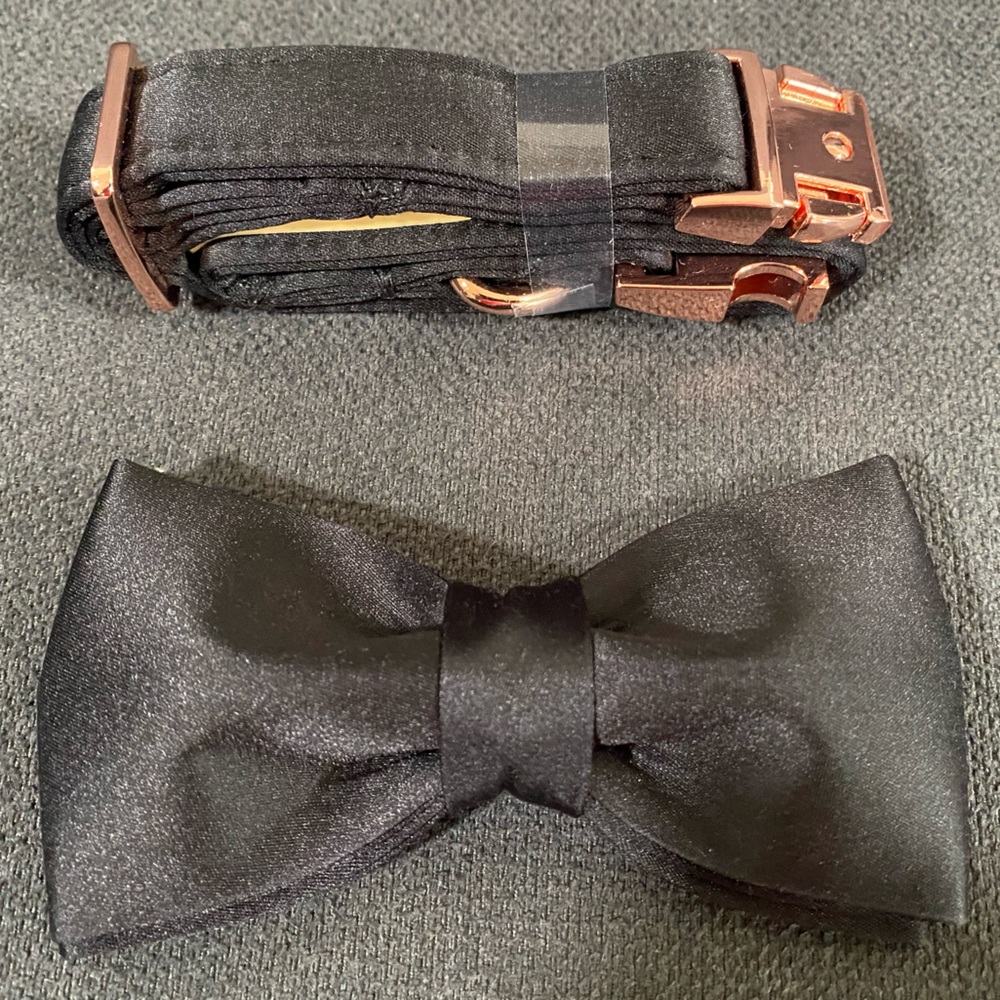 ⭐️New Unique style paws Dog Collar, Black Silk Dog Collar with Bow - Picture 8 of 16